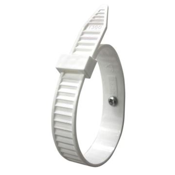 BBJ Big Tie L=250 mm (vpe 10) - prijs p/verp.